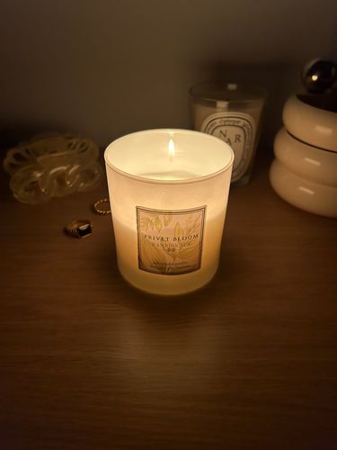 Hampton Sun Privet Bloom Candle Duftkerze Sojawachs blumig