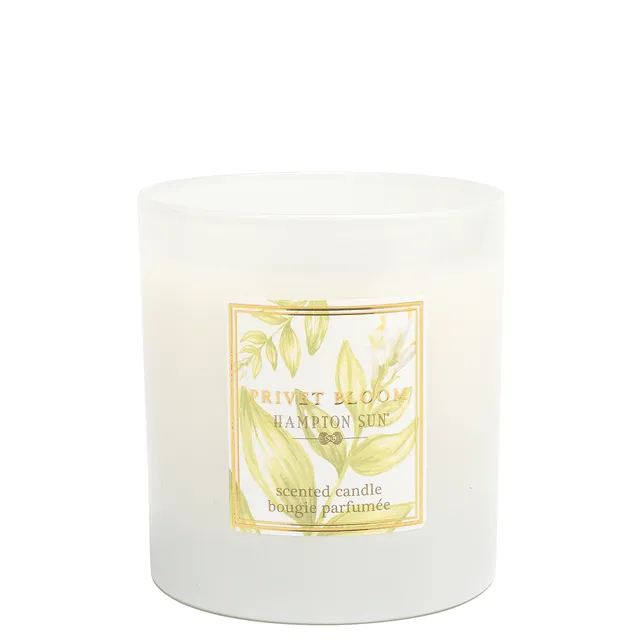 Hampton Sun Privet Bloom Candle Duftkerze Sojawachs blumig