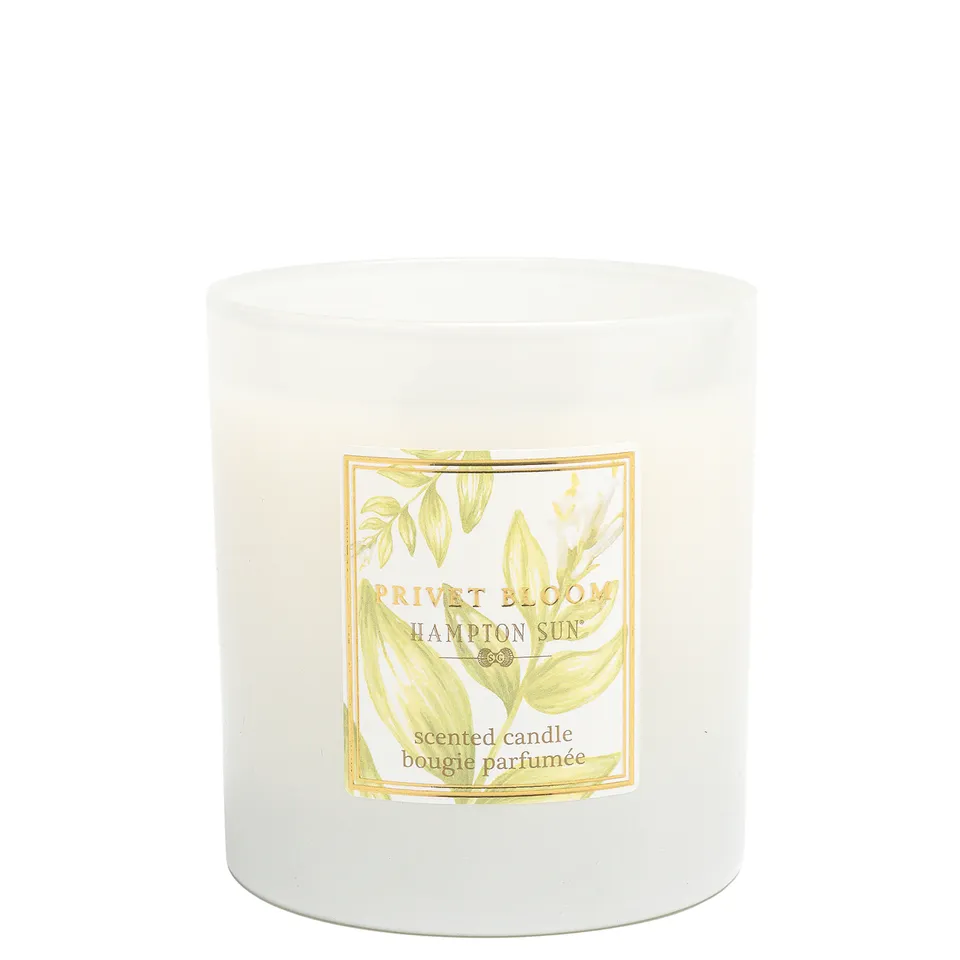 Hampton Sun Privet Bloom Candle Duftkerze Sojawachs blumig