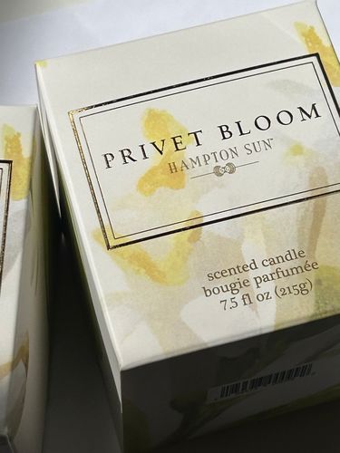 Hampton Sun Privet Bloom Candle Duftkerze Sojawachs blumig