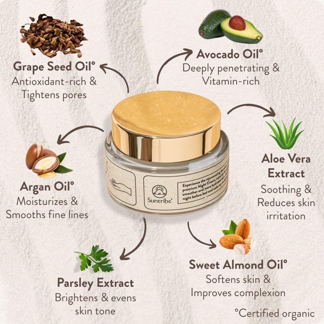 Suntribe Anti-Aging Night Cream Nachtcreme Hyaluron Retinol