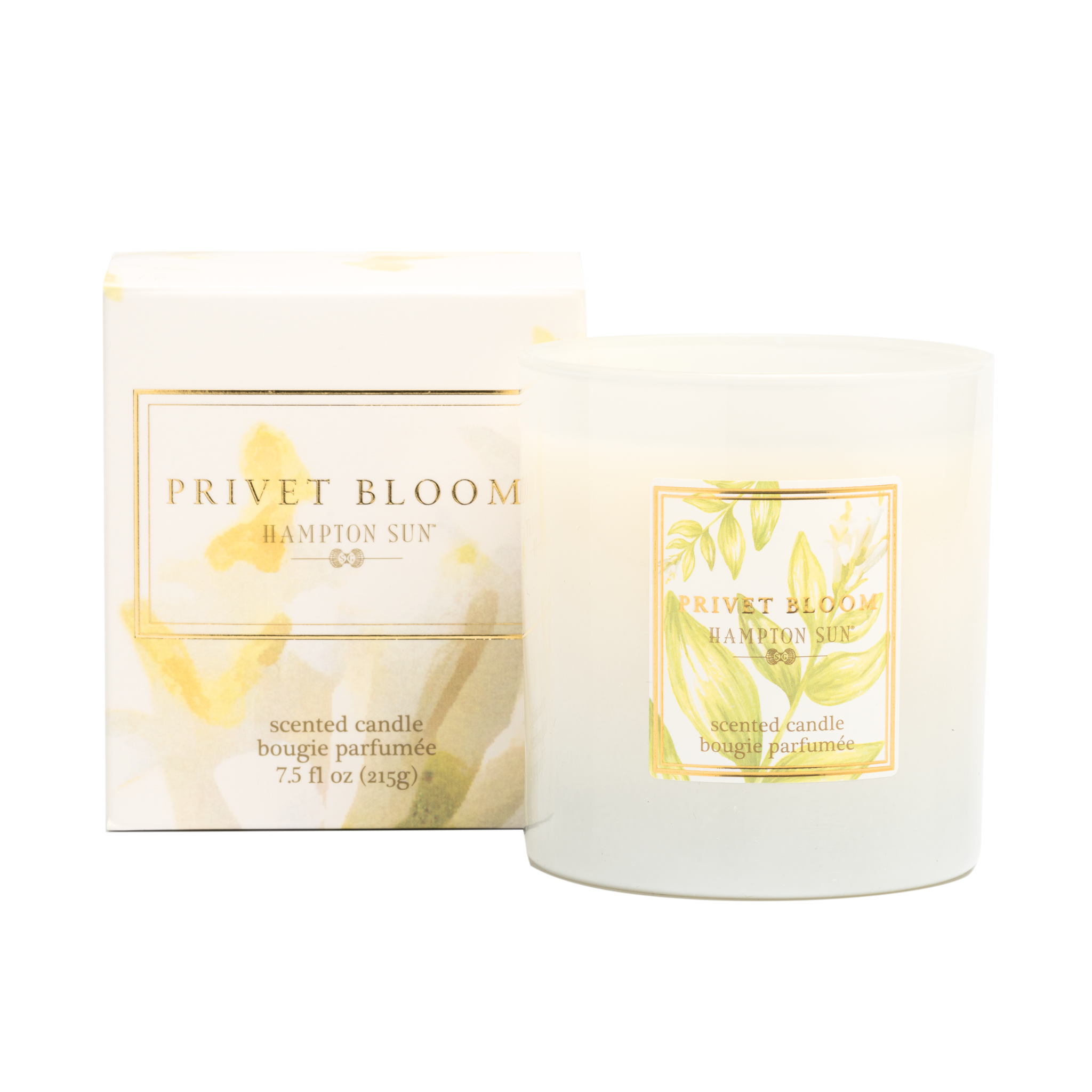 Hampton Sun Privet Bloom Candle Duftkerze Sojawachs blumig